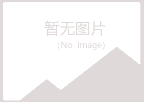 鹤岗南山如松金融有限公司